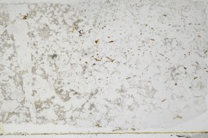 Plane Polarized, S68937
