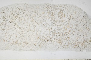 Plane Polarized, S68938