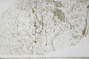Plane Polarized, S68939