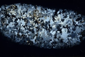 Cross Polarized, S68940
