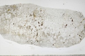 Plane Polarized, S68940