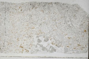 Plane Polarized, S68944