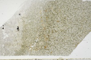 Plane Polarized, S68948