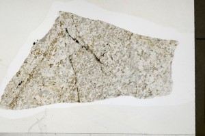 Plane Polarized, S68950/A