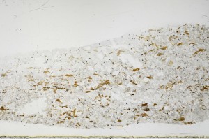 Plane Polarized, S68951