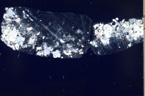 Cross Polarized, S68952/A