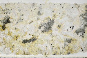 Plane Polarized, S68955