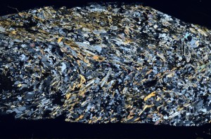 Cross Polarized, S68956