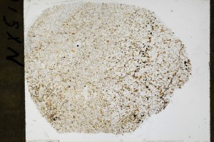 Plane Polarized, S68957