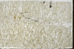 Plane Polarized, S68960