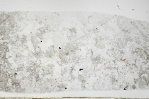 Plane Polarized, S68961