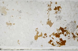 Plane Polarized, S68967