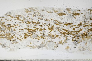 Plane Polarized, S68969