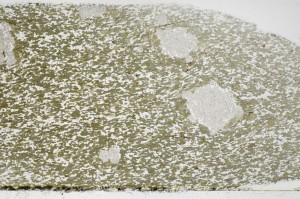 Plane Polarized, S68971