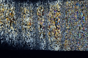 Cross Polarized, S68972