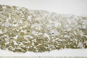 Plane Polarized, S68974