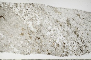 Plane Polarized, S68982