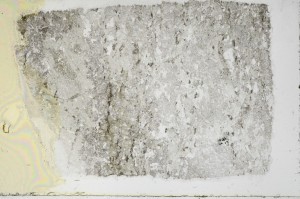 Plane Polarized, S68992