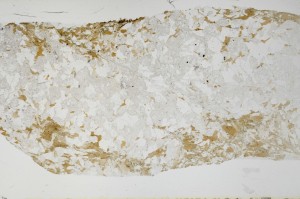 Plane Polarized, S68997