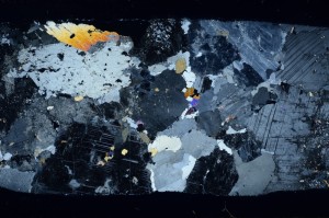 Cross Polarized, S68999