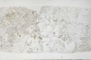 Plane Polarized, S68999