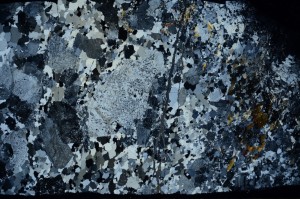 Cross Polarized, S69000