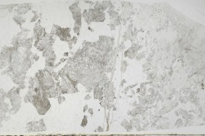 Plane Polarized, S69000