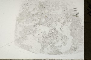 Plane Polarized, S69014