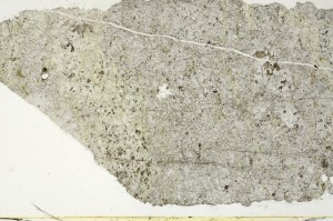 Plane Polarized, S69018