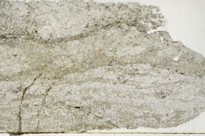 Plane Polarized, S69022