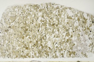 Plane Polarized, S69025