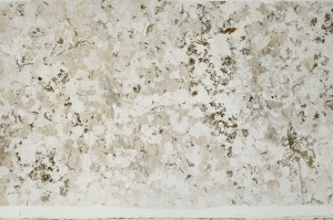 Plane Polarized, S69033