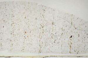 Plane Polarized, S69034