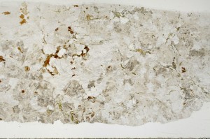 Plane Polarized, S69044