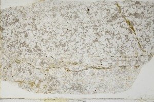 Plane Polarized, S69045