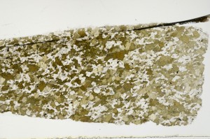 Plane Polarized, S69048