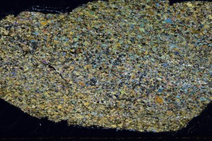 Cross Polarized, S69074