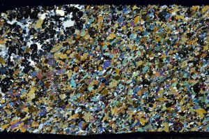 Cross Polarized, S69075