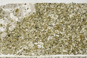 Plane Polarized, S69075