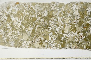 Plane Polarized, S69078