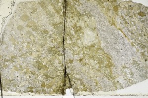 Plane Polarized, S69079