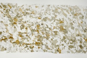 Plane Polarized, S69082