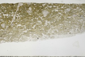 Plane Polarized, S69083