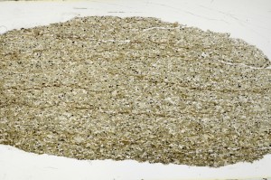 Plane Polarized, S69085