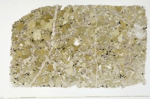 Plane Polarized, S69093