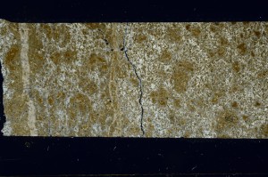 Cross Polarized, S69103