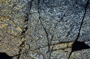 Cross Polarized, S69105