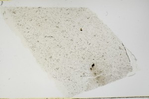 Plane Polarized, S69107