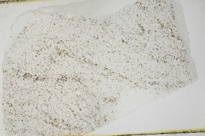 Plane Polarized, S69108