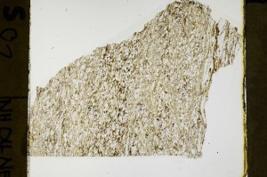 Plane Polarized, S69109